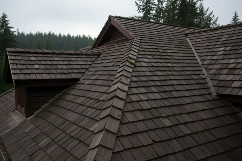 Cedar Shake Shingle Service