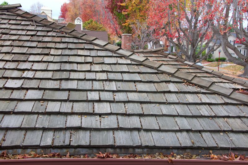 Early Fall Cedar Shingles